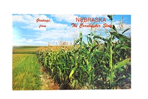Nebraska Corn Field Postcard Nebraska Cornhuskers, Nebraska  Office Den & Entry, Huskers  Office Den & Entry, Nebraska Nebraska Corn Field Postcard, Huskers Nebraska Corn Field Postcard